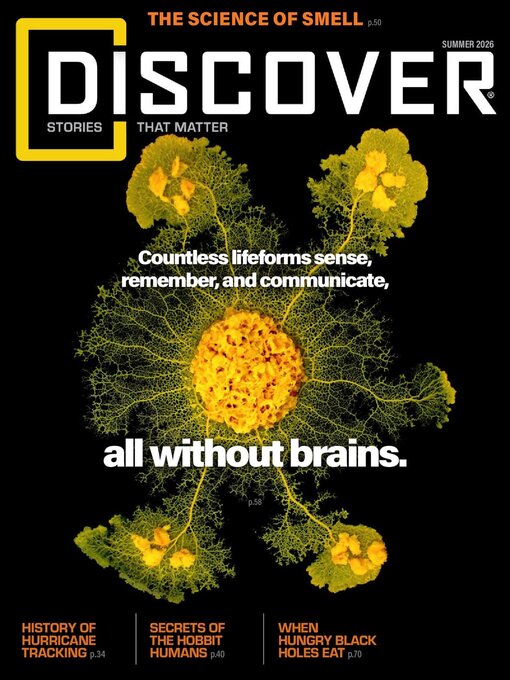 Cover image for Discover